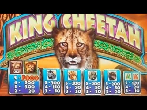 King Cheetah Slot